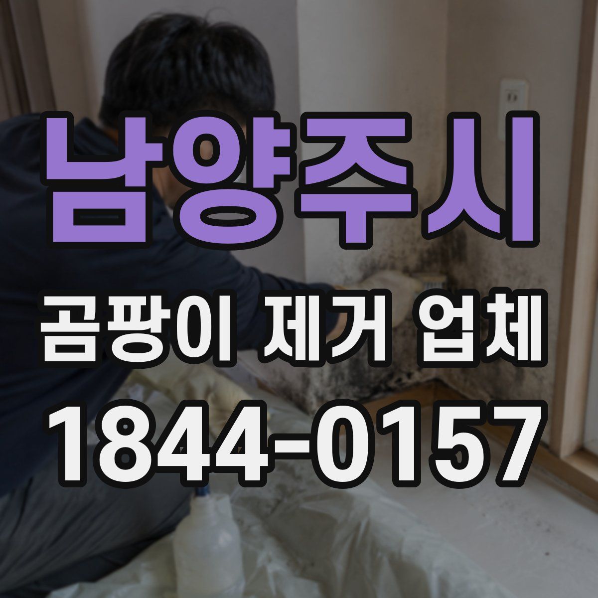 남양주시 곰팡이 제거 업체