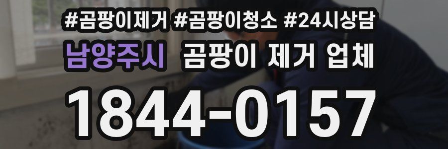 남양주시 곰팡이 제거 업체
