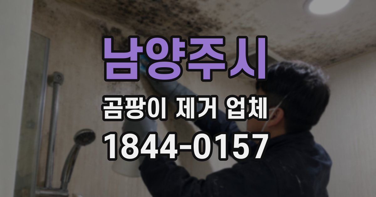 남양주시 곰팡이 제거 업체