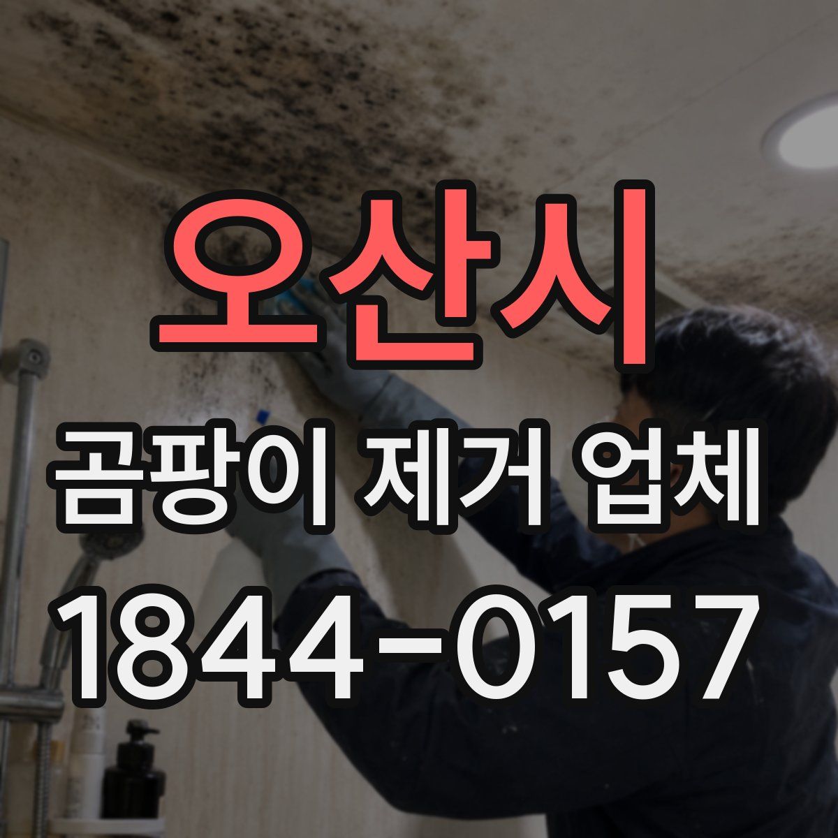 오산시 곰팡이 제거 업체