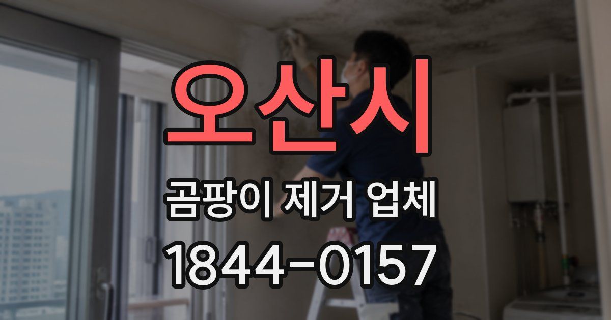오산시 곰팡이 제거 업체