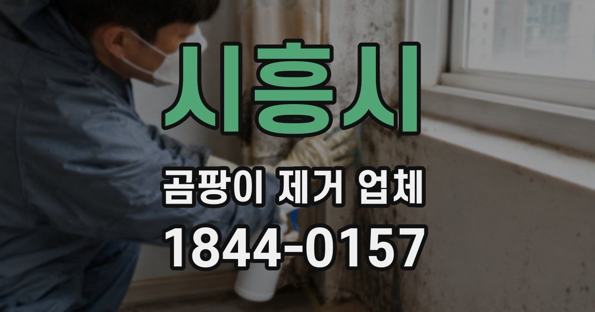 시흥시 곰팡이 제거 업체