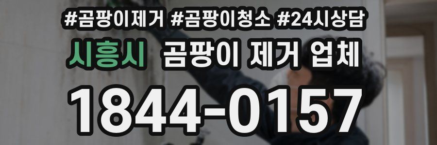 시흥시 곰팡이 제거 업체
