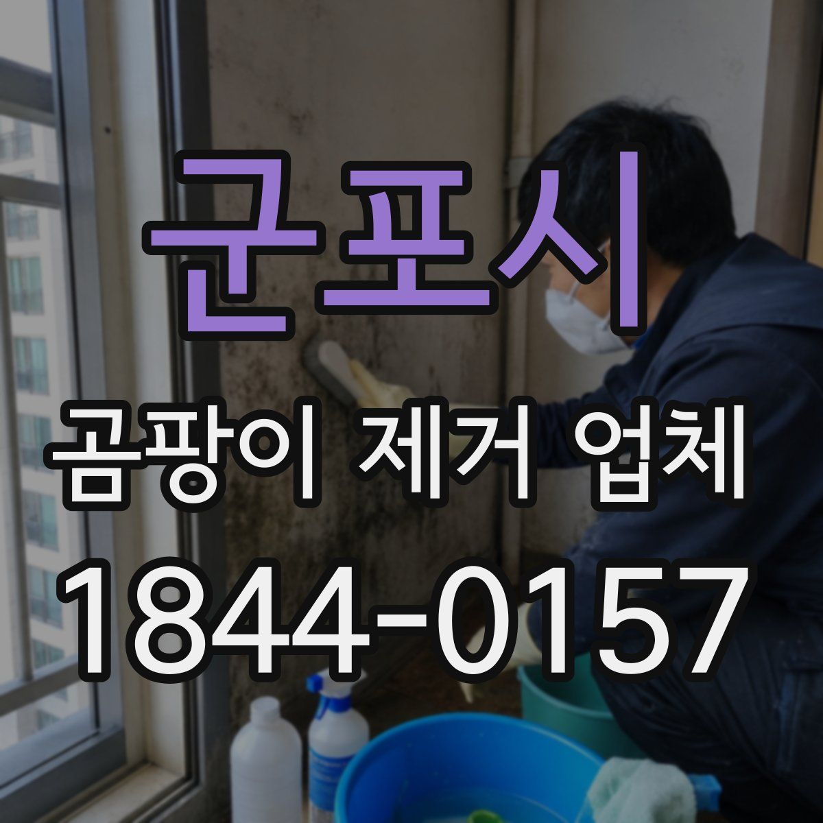 군포시 곰팡이 제거 업체