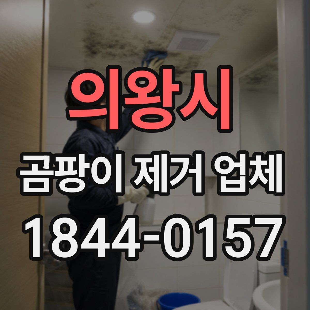 의왕시 곰팡이 제거 업체 반지하 주택에서 반복되는 냄새 원인 살피기
