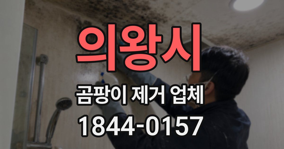 의왕시 곰팡이 제거 업체