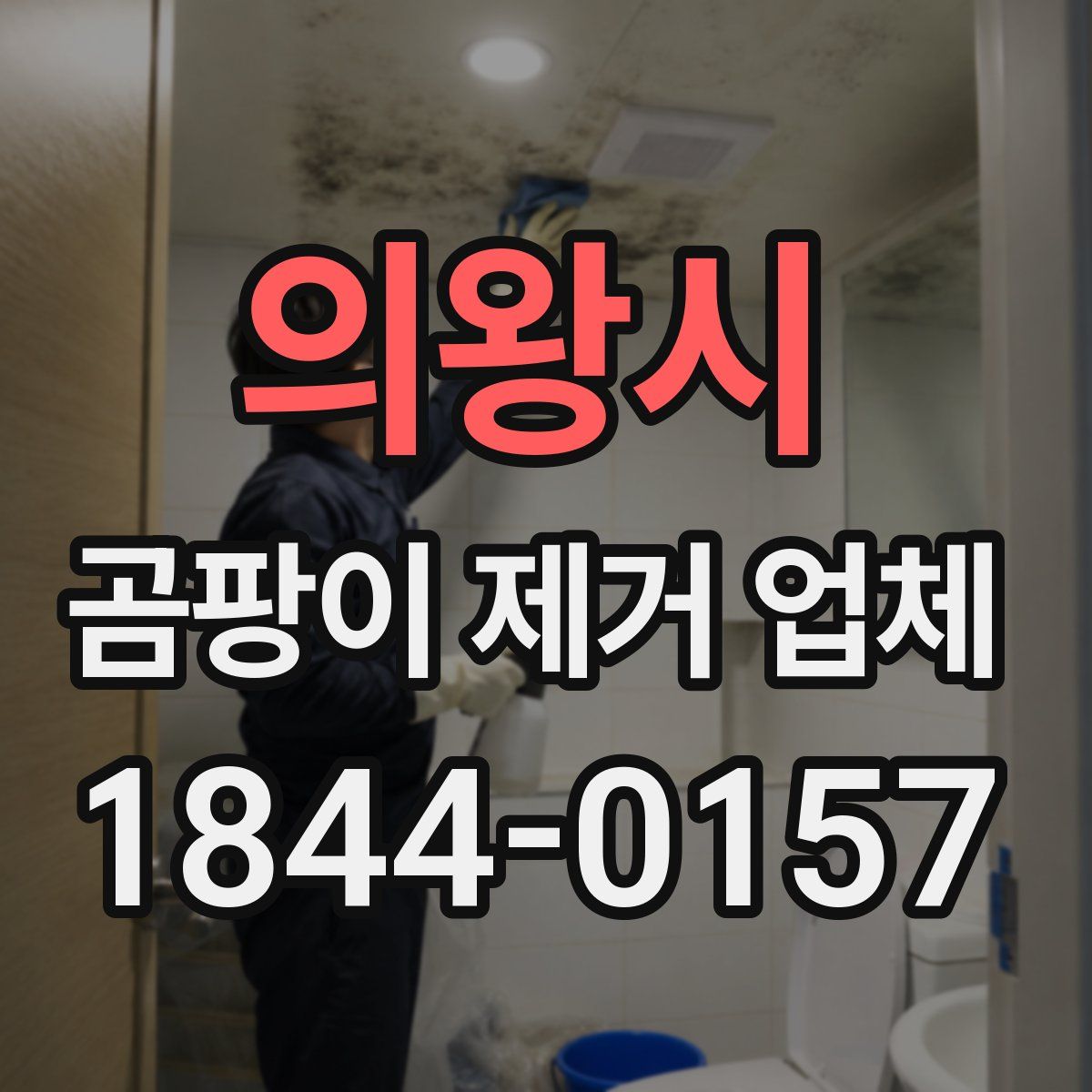 의왕시 곰팡이 제거 업체