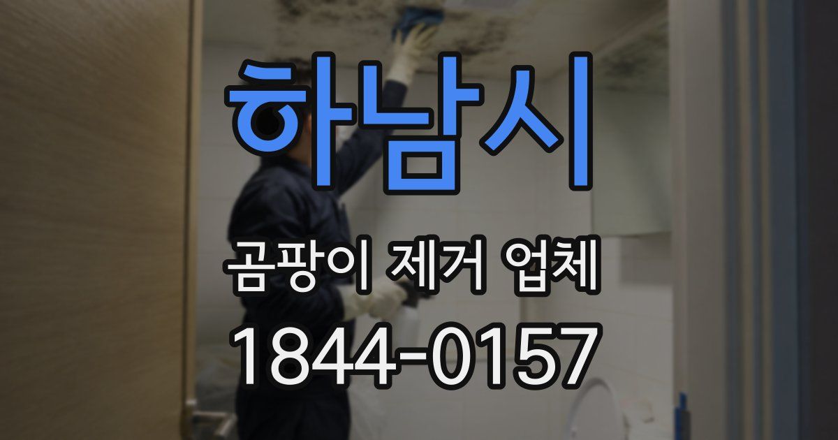 하남시 곰팡이 제거 업체