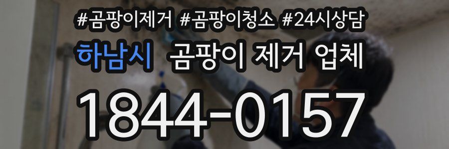 하남시 곰팡이 제거 업체