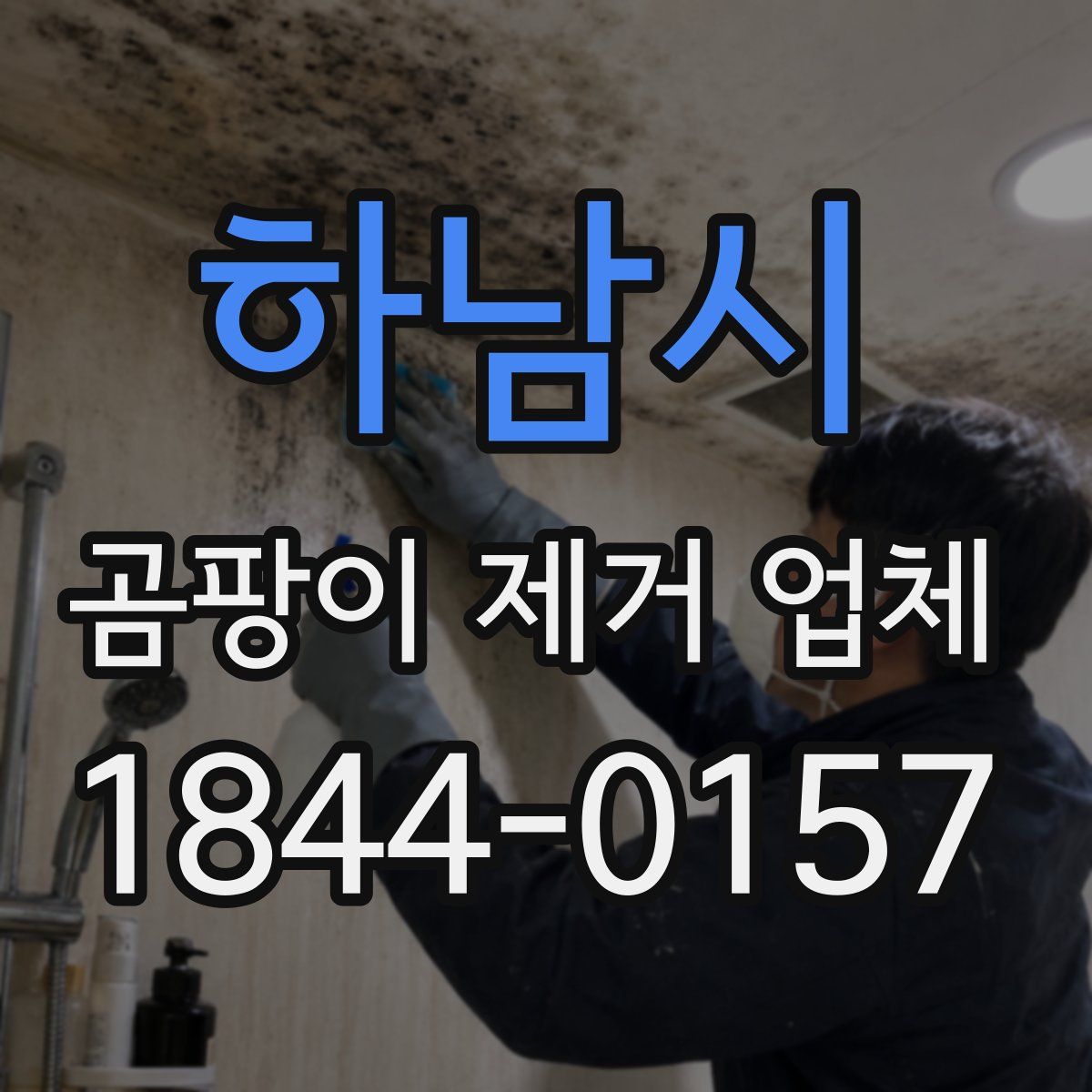 하남시 곰팡이 제거 업체