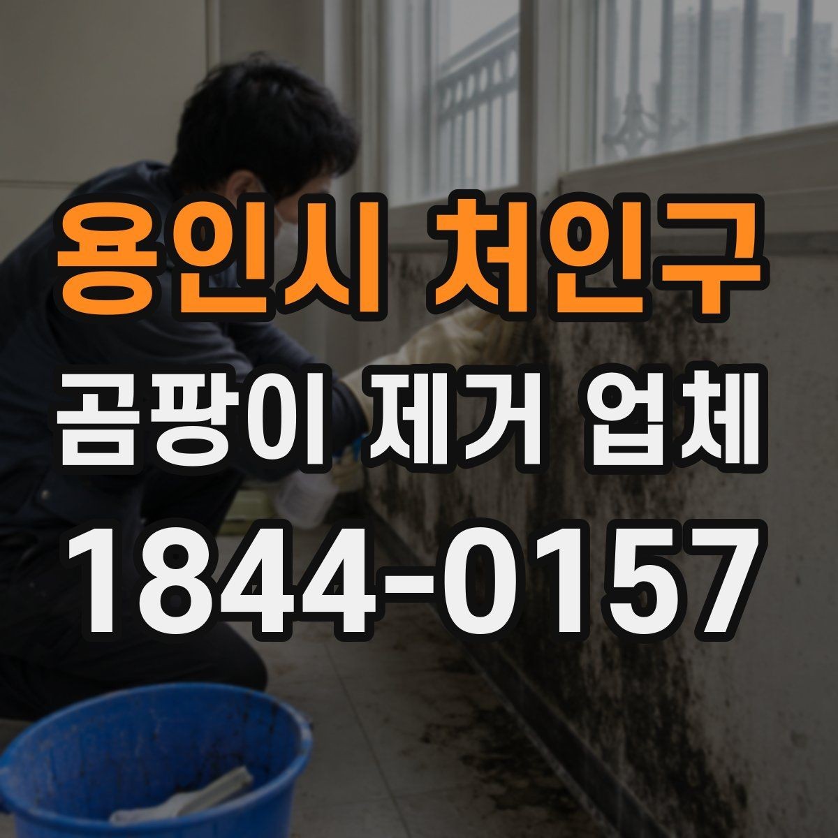 용인시 처인구 곰팡이 제거 업체 임대 주택 비용 협의 전 체크할 항목