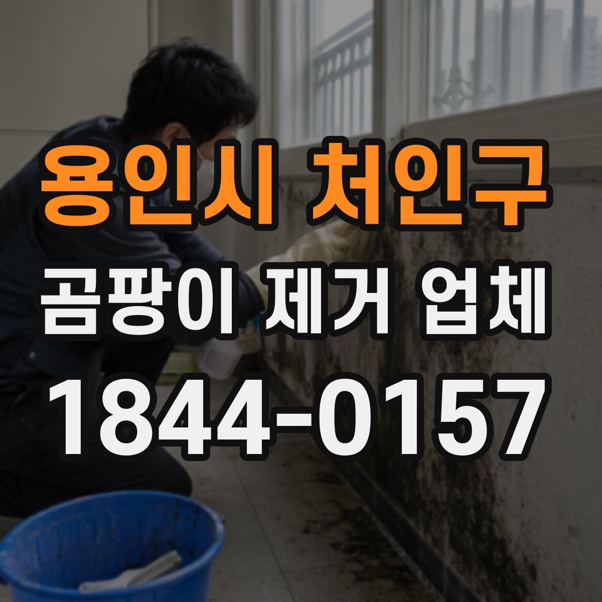 용인시 처인구 곰팡이 제거 업체
