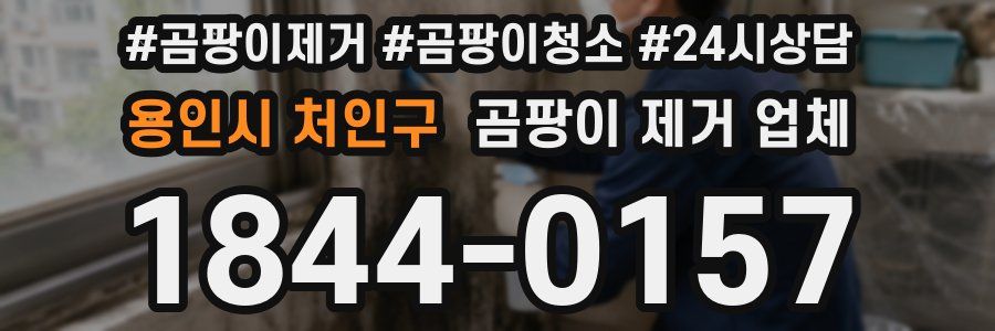 용인시 처인구 곰팡이 제거 업체