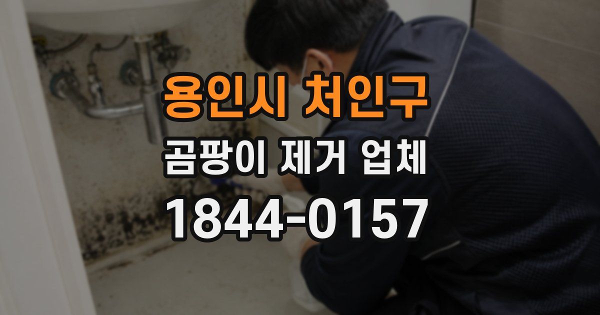 용인시 처인구 곰팡이 제거 업체