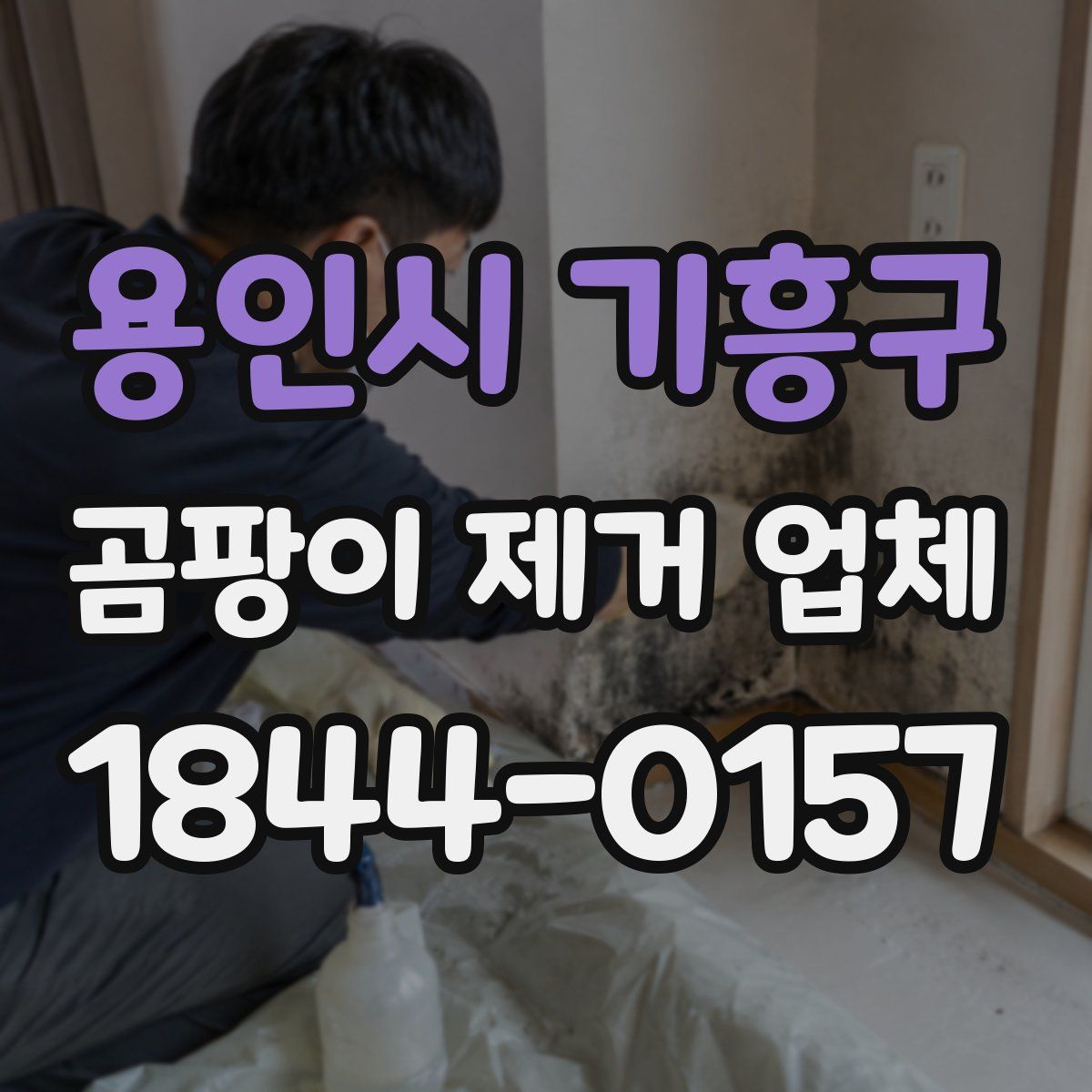 용인시 기흥구 곰팡이 제거 업체