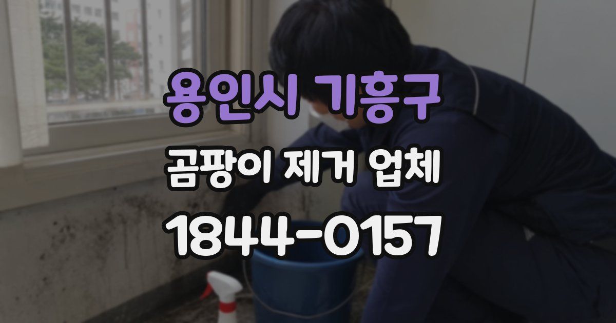 용인시 기흥구 곰팡이 제거 업체