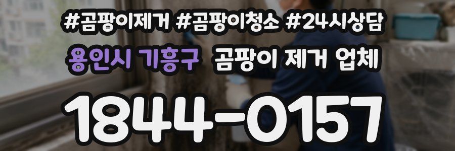 용인시 기흥구 곰팡이 제거 업체