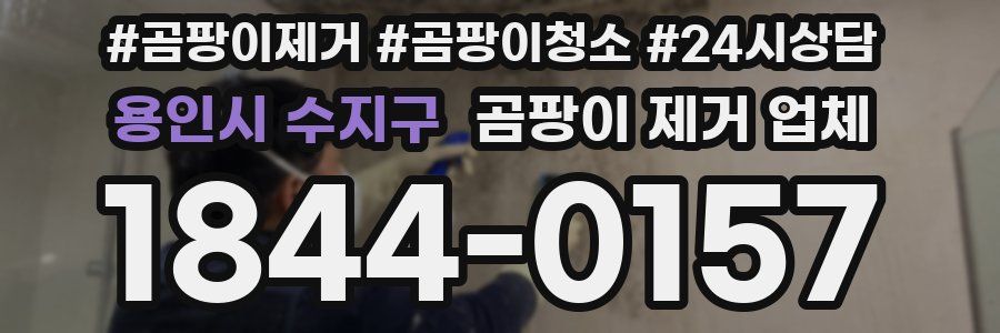 용인시 수지구 곰팡이 제거 업체