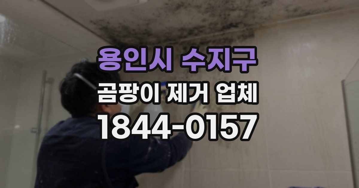 용인시 수지구 곰팡이 제거 업체