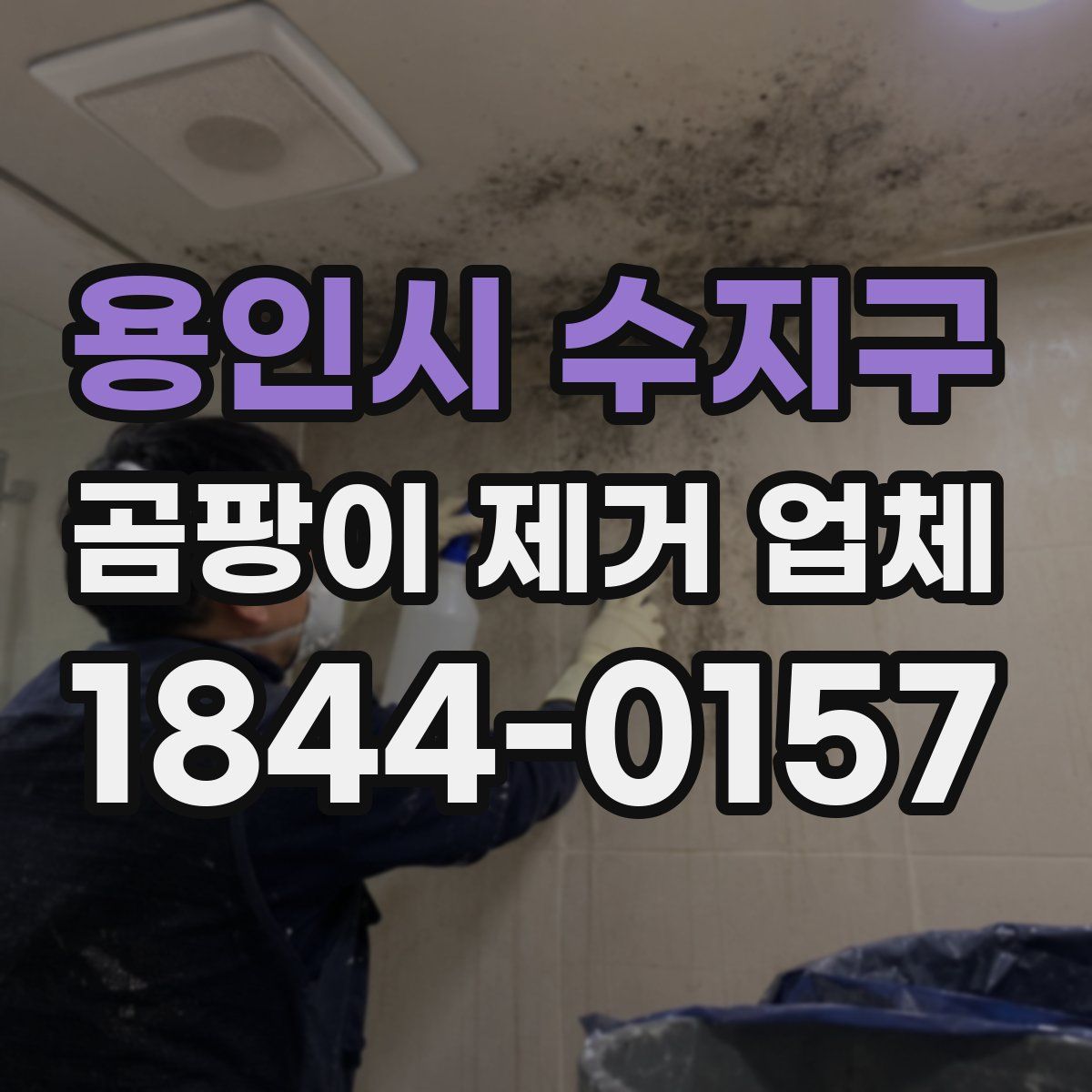 용인시 수지구 곰팡이 제거 업체