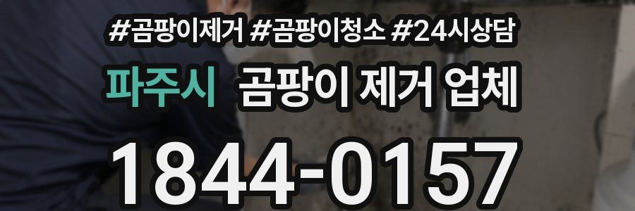 파주시 곰팡이 제거 업체