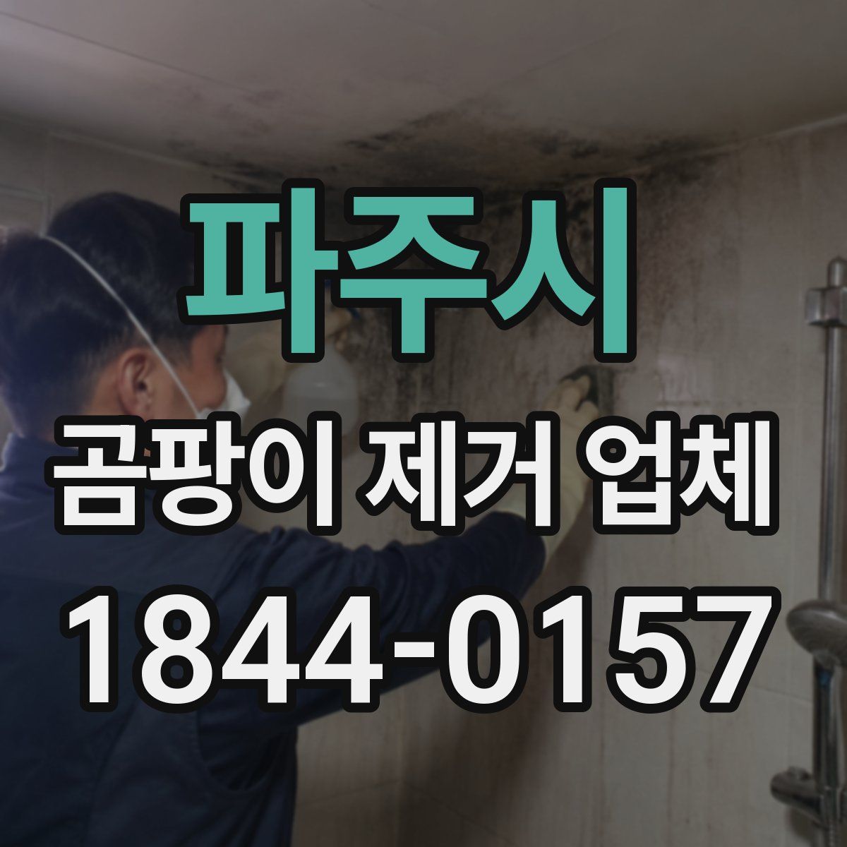 파주시 곰팡이 제거 업체