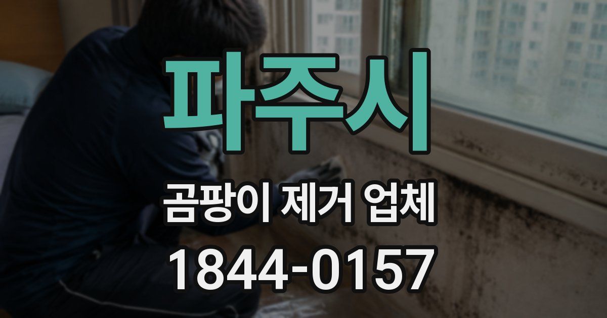 파주시 곰팡이 제거 업체