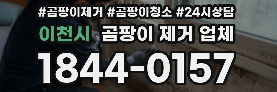 이천시 곰팡이 제거 업체