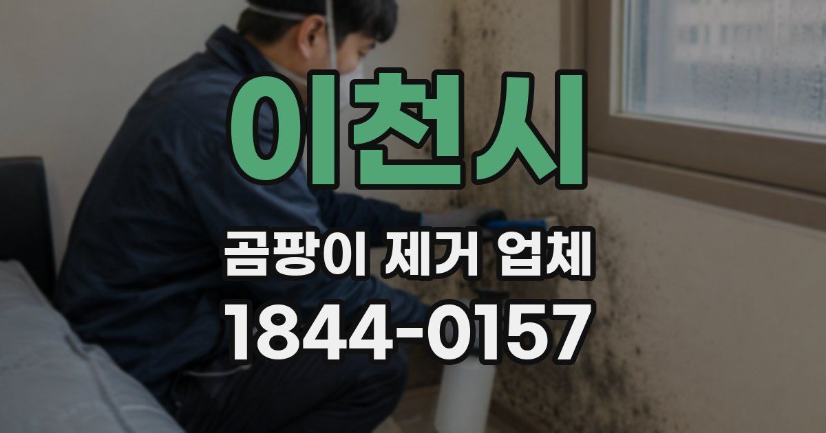 이천시 곰팡이 제거 업체