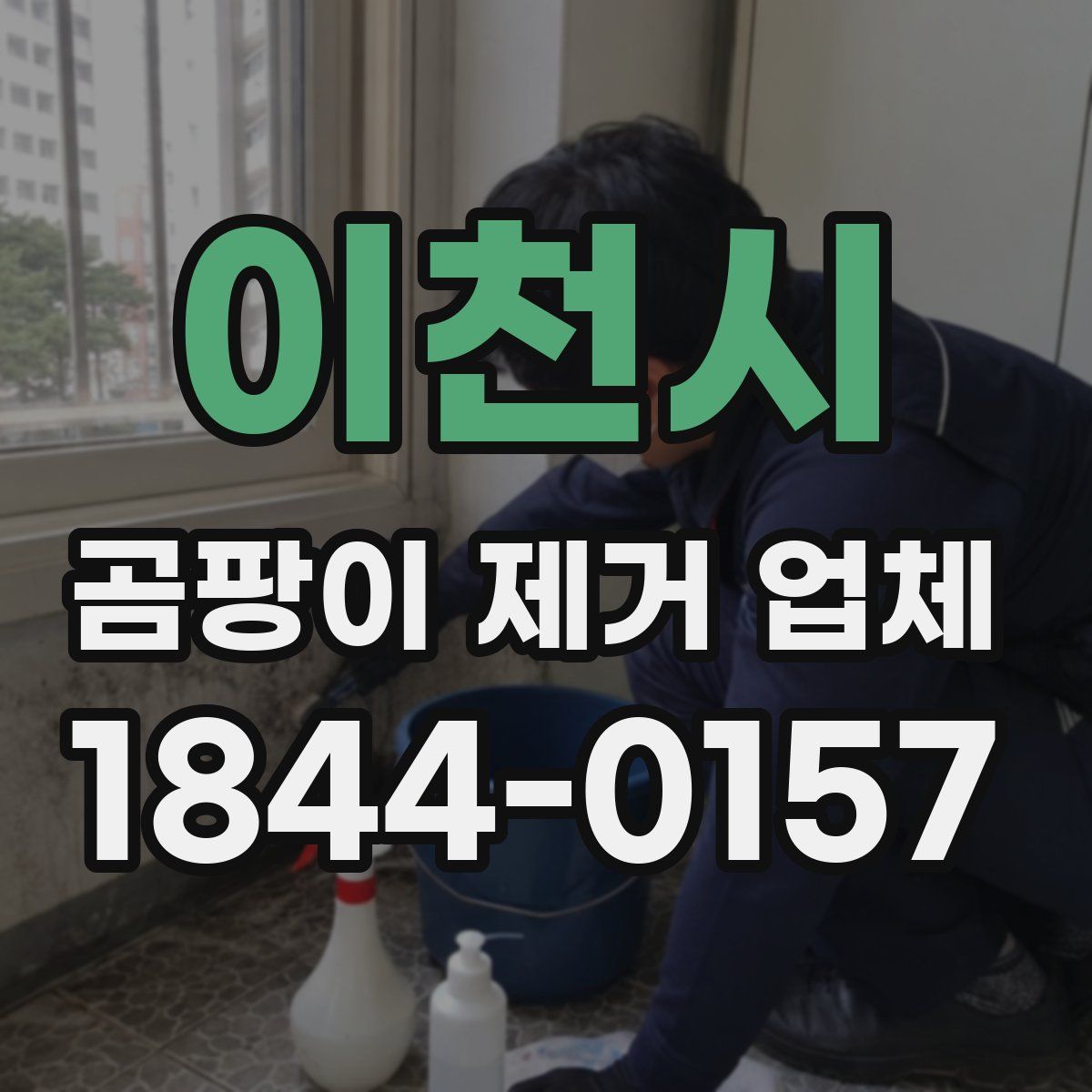 이천시 곰팡이 제거 업체