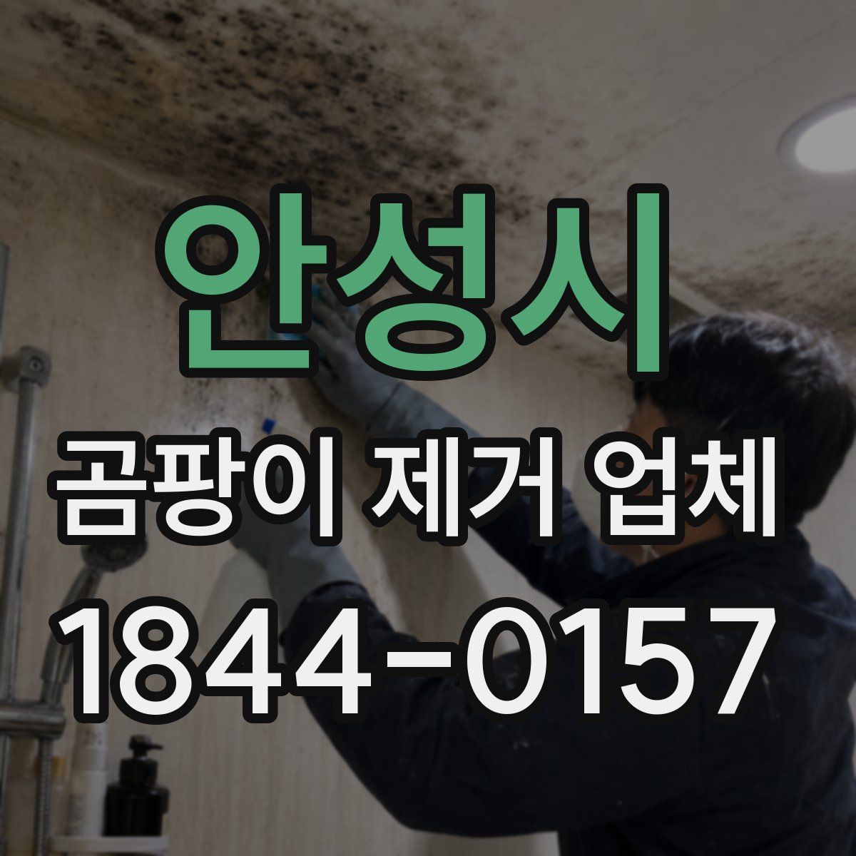 안성시 곰팡이 제거 업체