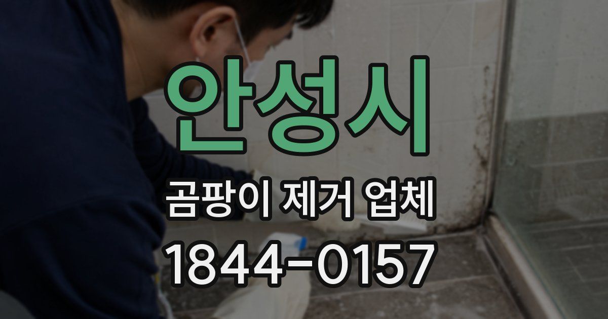안성시 곰팡이 제거 업체