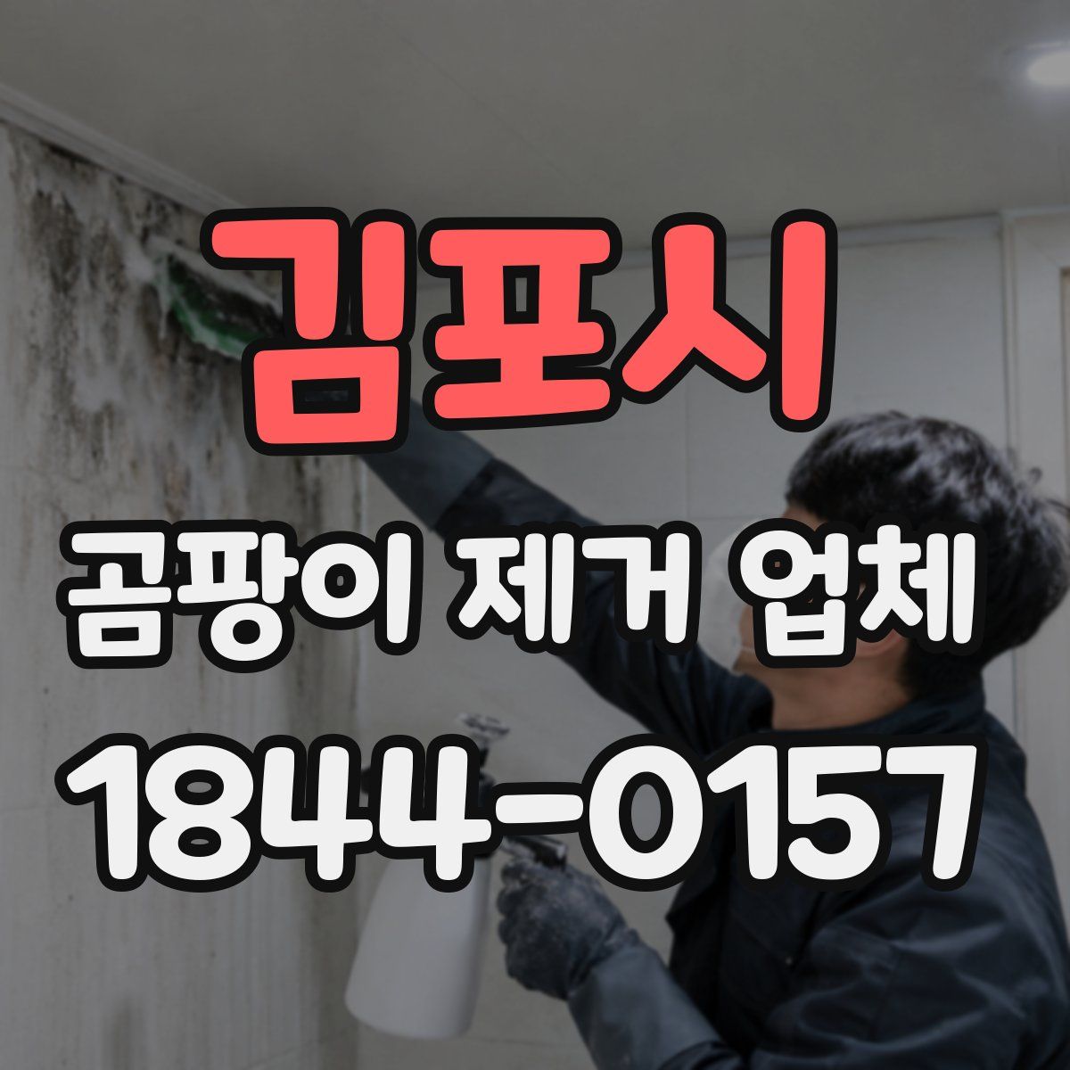김포시 곰팡이 제거 업체