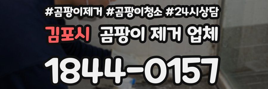 김포시 곰팡이 제거 업체