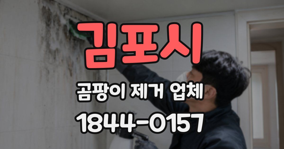 김포시 곰팡이 제거 업체