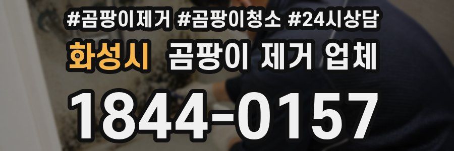 화성시 곰팡이 제거 업체