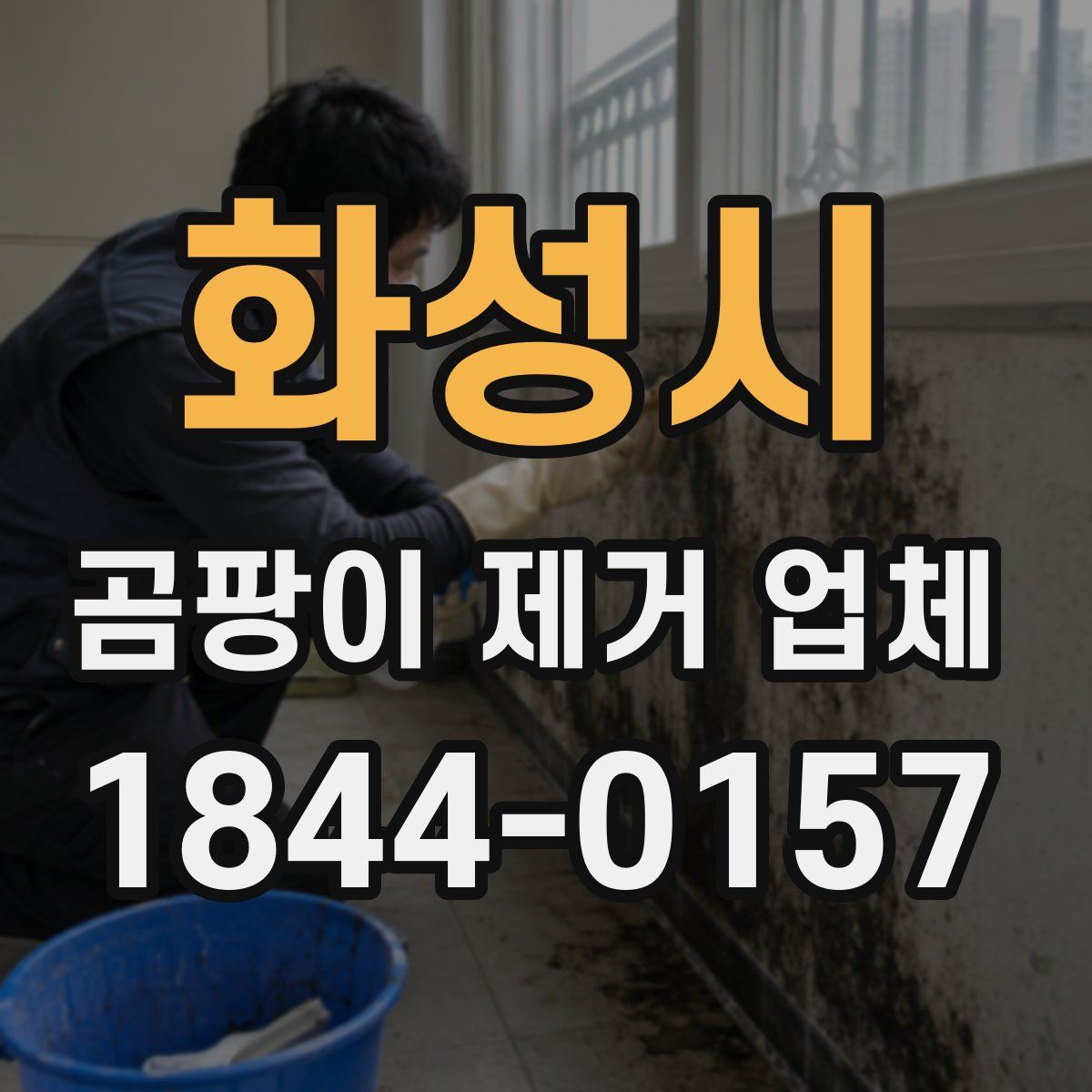 화성시 곰팡이 제거 업체