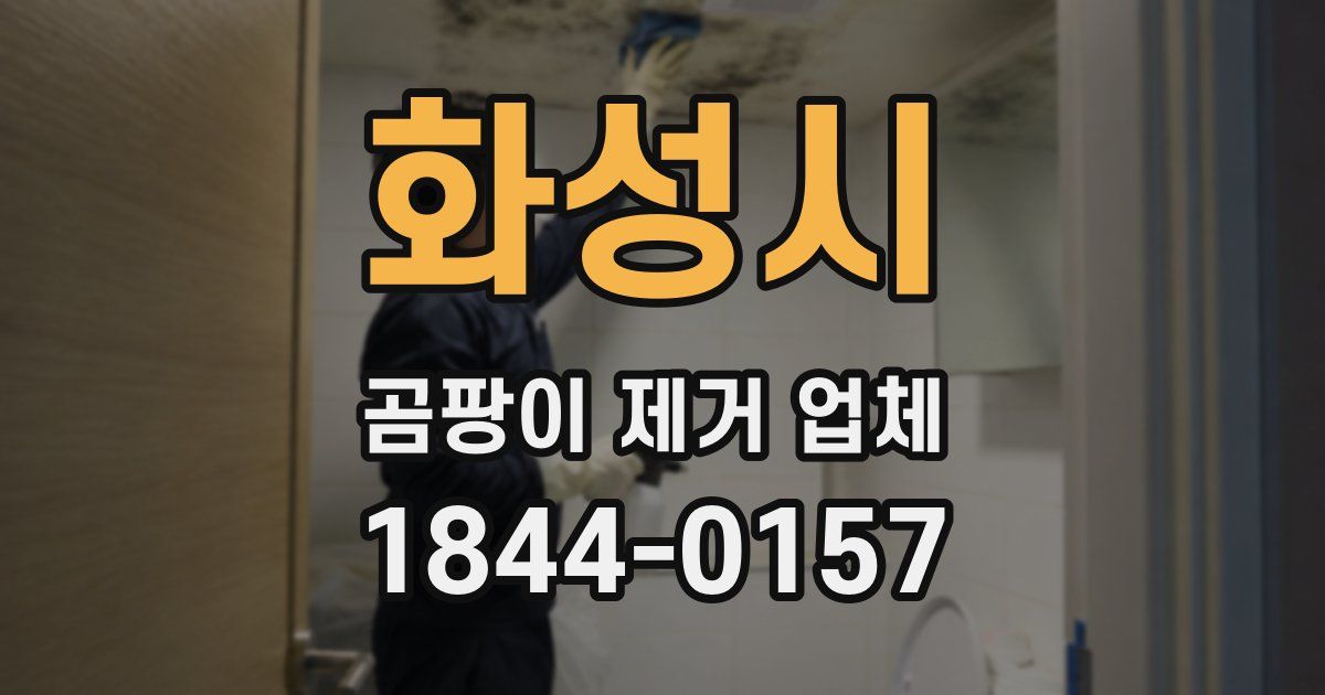 화성시 곰팡이 제거 업체