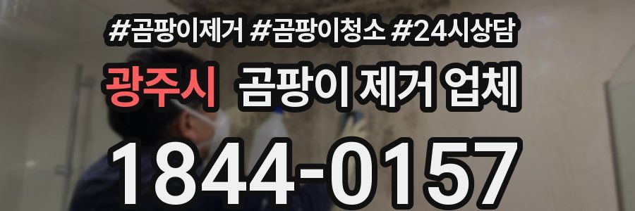 광주시 곰팡이 제거 업체