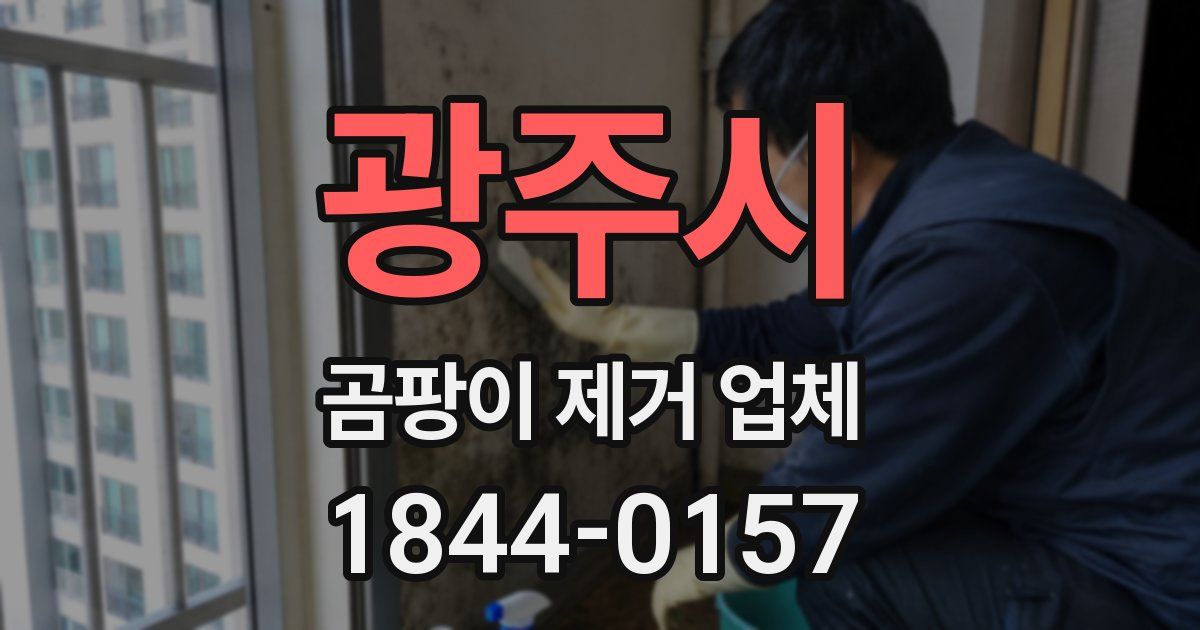 광주시 곰팡이 제거 업체