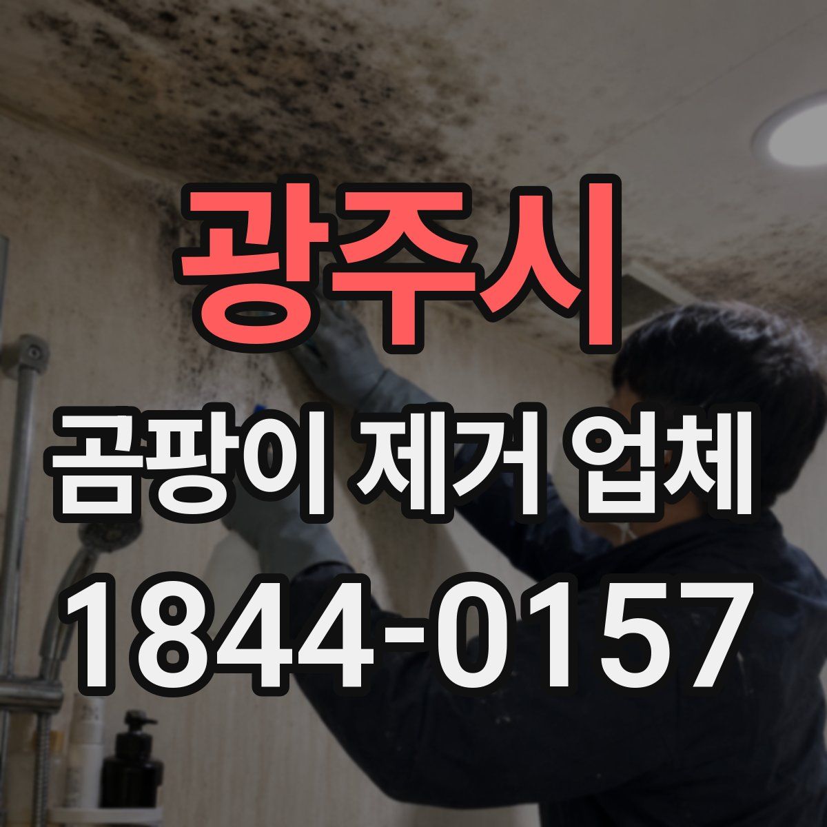 광주시 곰팡이 제거 업체