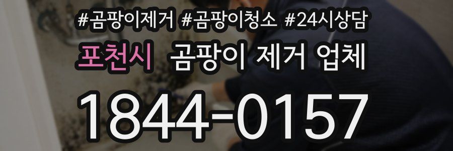 포천시 곰팡이 제거 업체