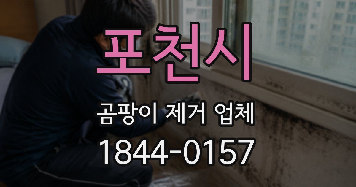 포천시 곰팡이 제거 업체