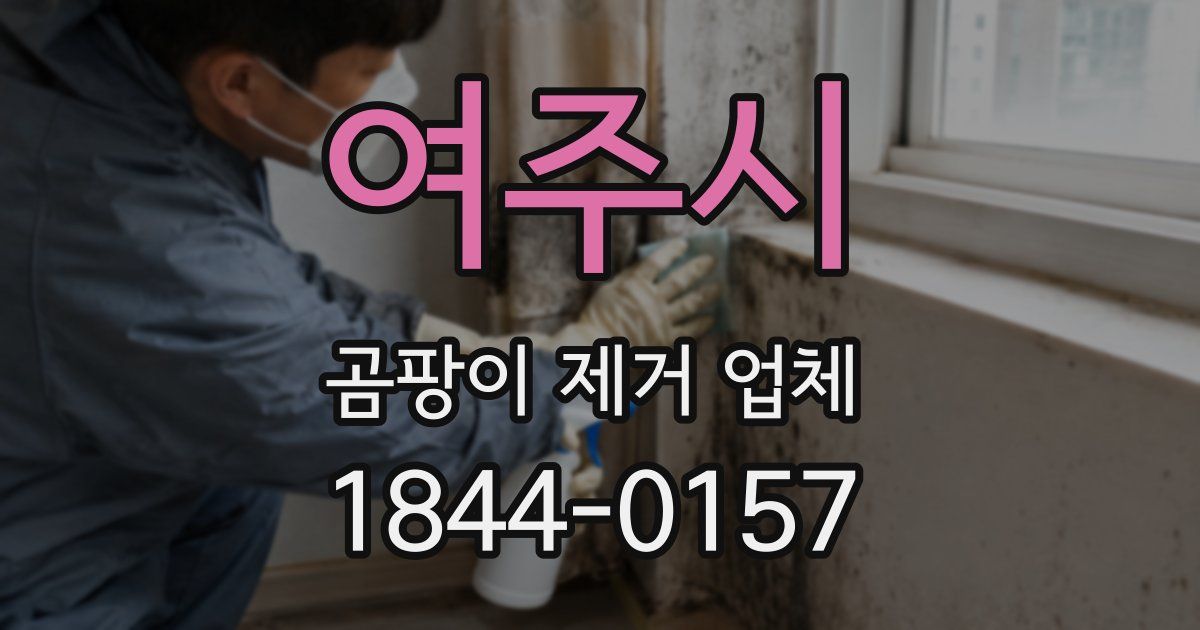 여주시 곰팡이 제거 업체