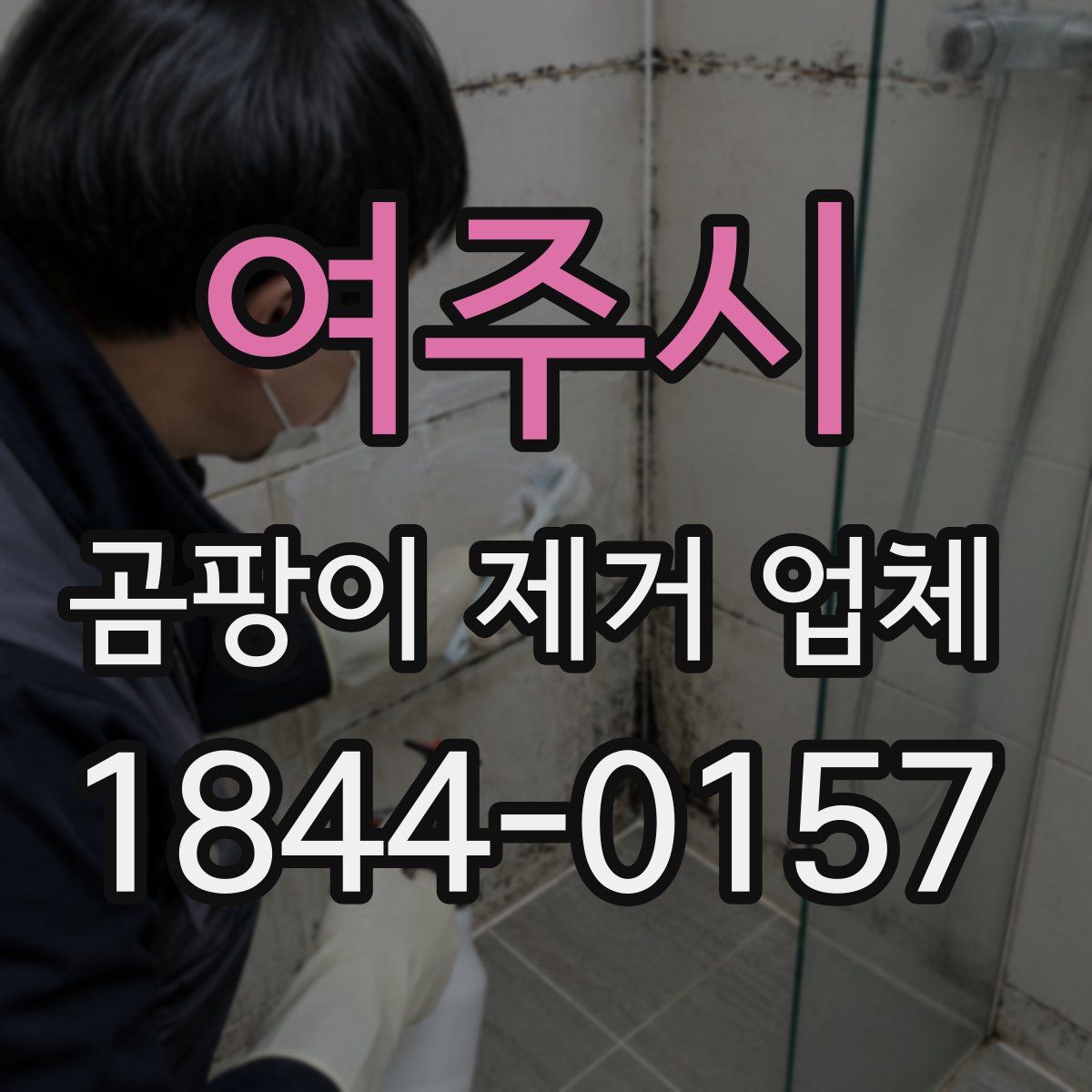 여주시 곰팡이 제거 업체