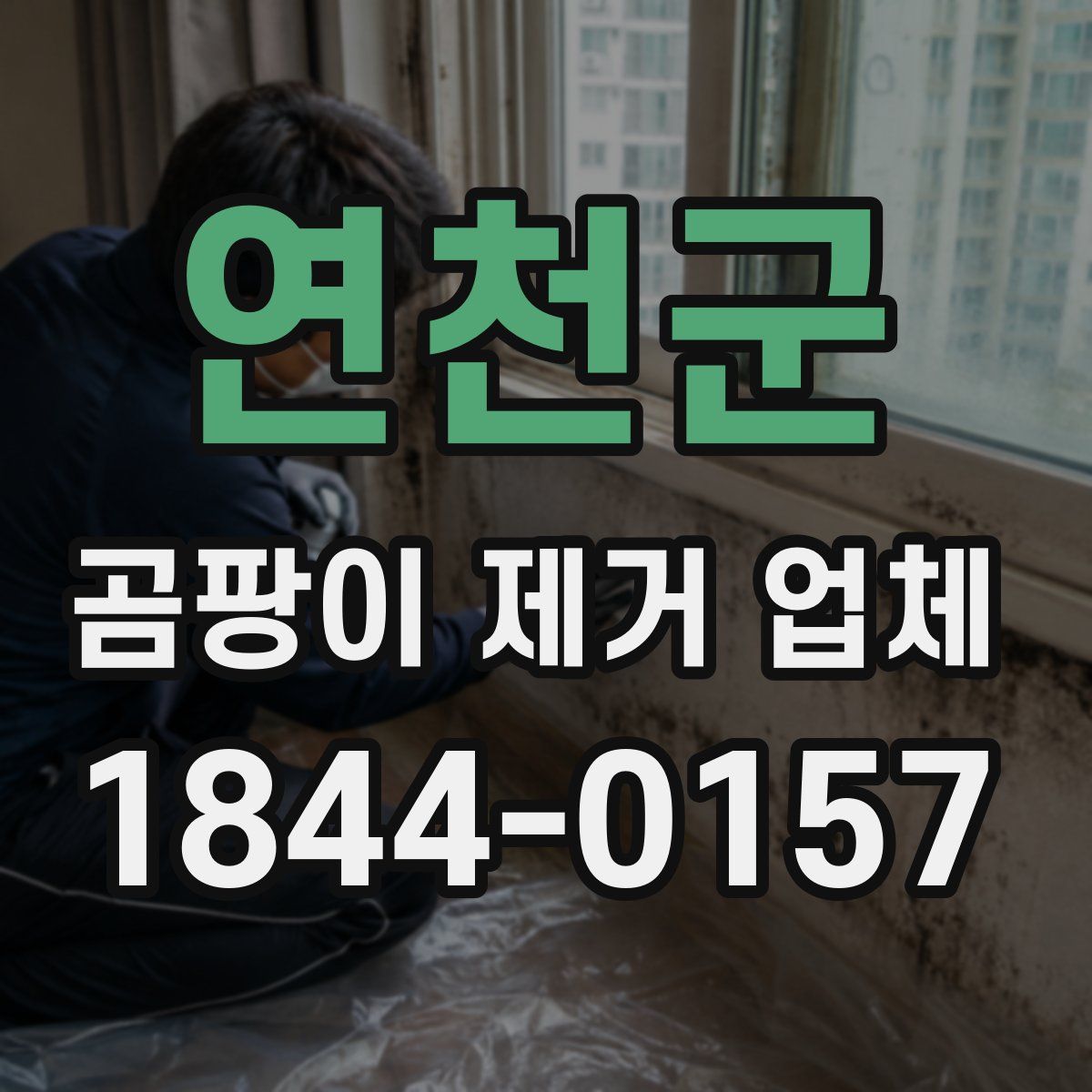 연천군 곰팡이 제거 업체