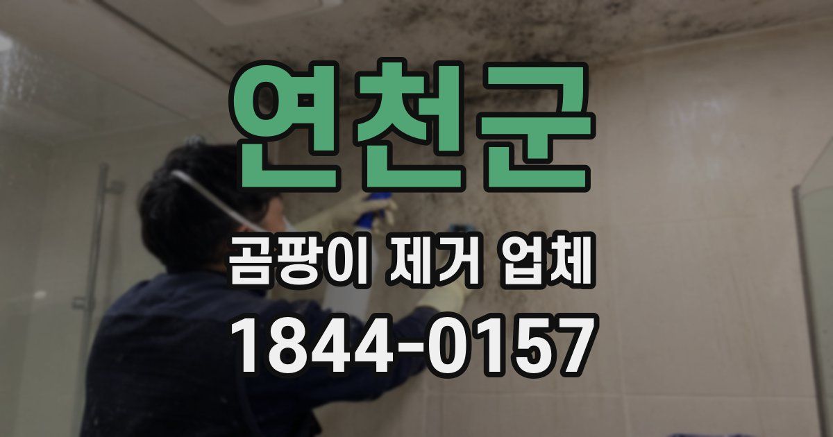 연천군 곰팡이 제거 업체