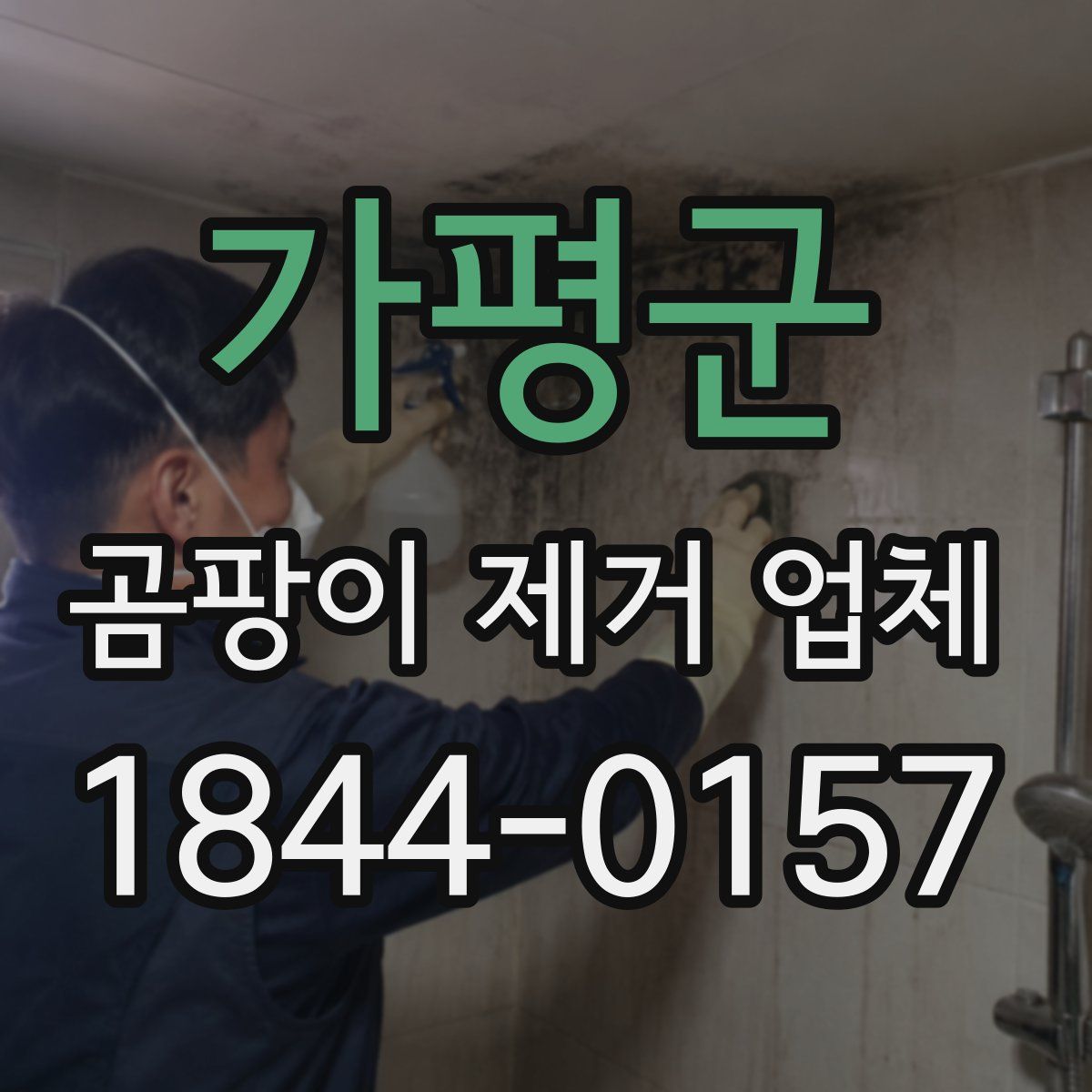 가평군 곰팡이 제거 업체