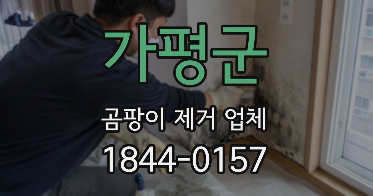 가평군 곰팡이 제거 업체