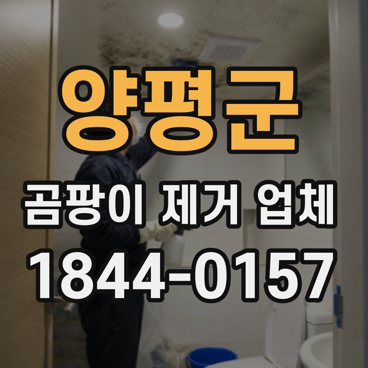 양평군 곰팡이 제거 업체